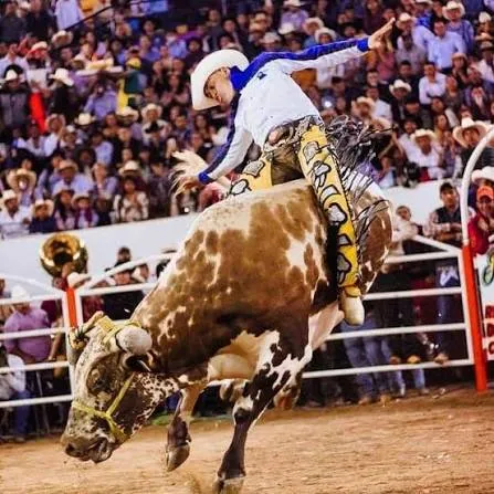 Jaripeo en Lienzo charro durante la fiesta patronal de Santo Tomás Jalieza.